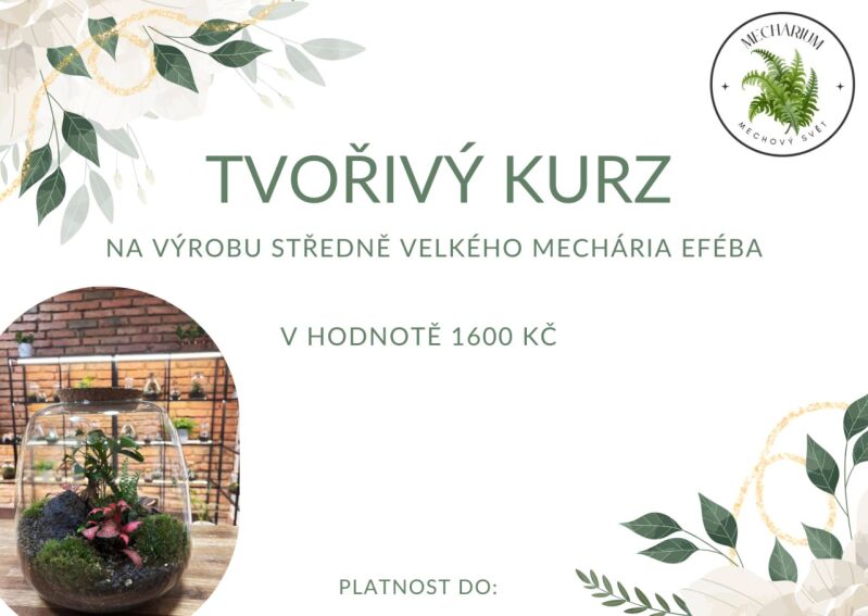 WORKSHOP
